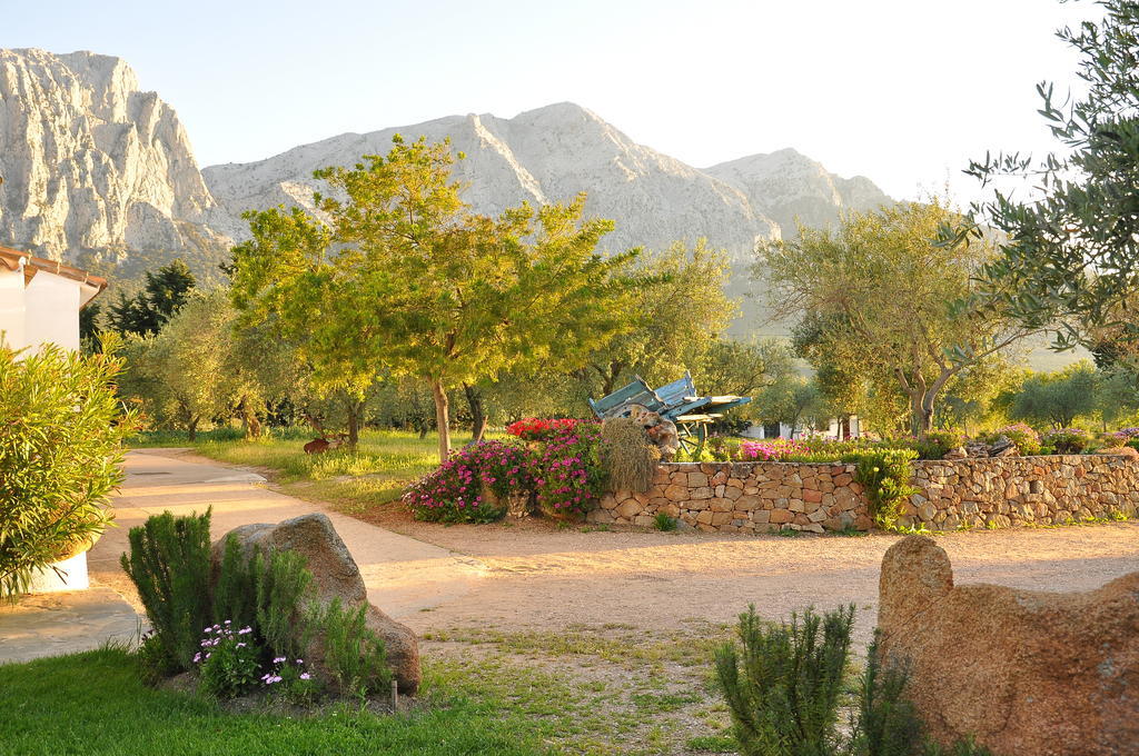 Agriturismo Guthiddai Ольєна Екстер'єр фото