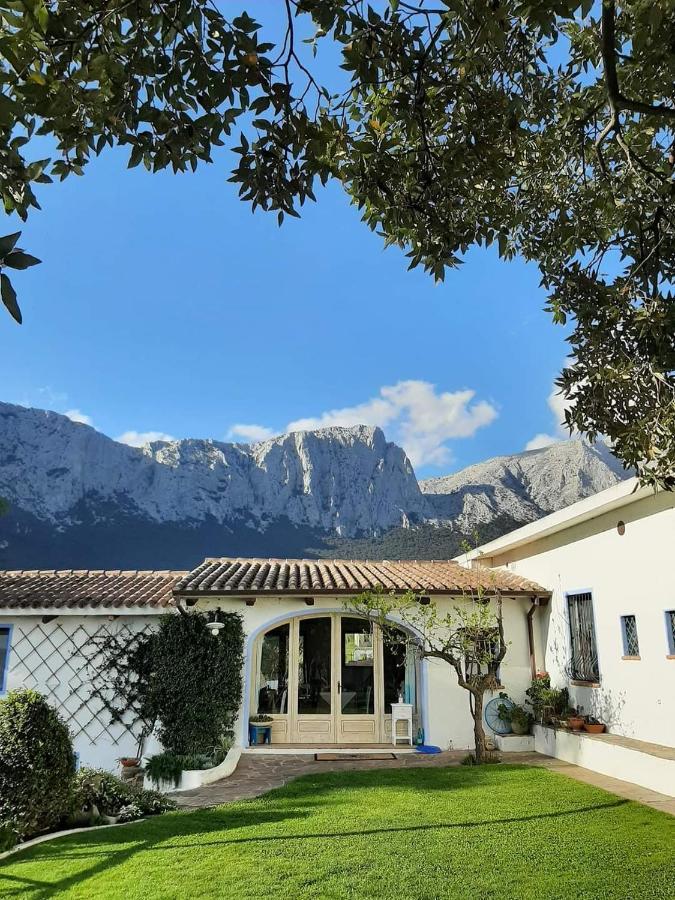 Agriturismo Guthiddai Ольєна Екстер'єр фото