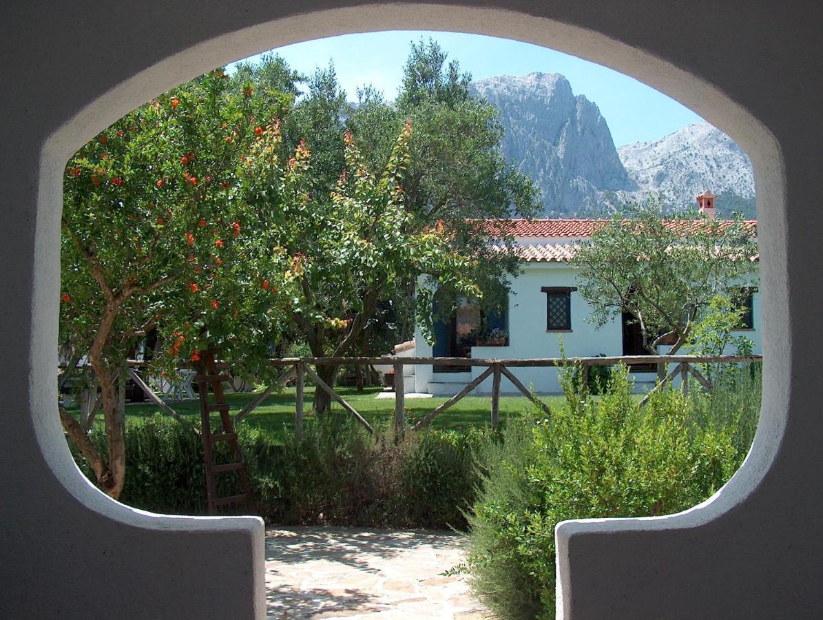 Agriturismo Guthiddai Ольєна Екстер'єр фото